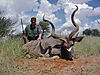 skip-kudu.jpg