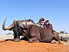 stan-karon-black-wildebeest.jpg