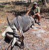 trophy_EA_eland_40_5_New_SCI_n_3.JPG