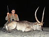 waterbuck14.JPG