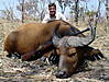 west-african-savannah-buffalo.jpg