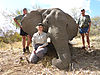 yvan-jodee-and-colin-elephant.jpg