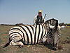 zebra-plain-022.JPG