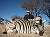 zebra-plain-041.JPG