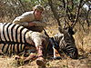 zebra_burchell_01.jpg