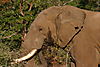 05_27_10_Africa_2010_008.JPG