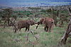 Africa_part_2_2010_867.jpeg