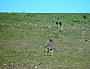 DSC08845.JPG