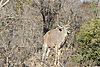IMG_2266.JPG