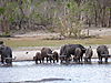 buffalo-hunt-03.JPG