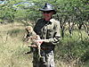 cheetah-cub-namibia.JPG