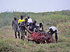 elephant-skull-04.JPG