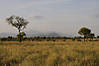 ethiopia-landscape.jpg