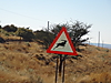 kudu_crossing.JPG