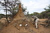 mushroom-namibia-03.jpg