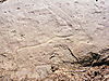 rock-carving-01.JPG