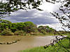 ruaha-river.jpg