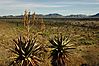 view_central_namibia_area.jpg