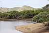 white-storks-namibia.JPG