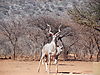 wildlife-187.JPG