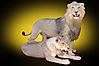 Lion_and_Lioness_Full_Mount.jpg