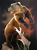 bear-taxidermy-20.jpeg