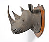 black-rhino-taxidermy1.jpeg