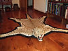 leopard-rug.jpg