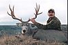 2005_mulie.jpg