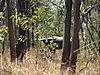 Arnhemland_2009_-_2_157.jpg