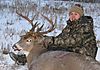 Christines_2010_Whitetail.jpg