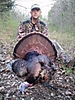 Gobbler_2013_1.JPG