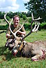 Hunting-Pere-David-Deer-UK.jpeg