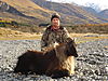 Tahr_Hunt_New_Zealand.jpeg