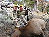 Wyoming-Elk-Hunting.jpeg