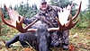 british-columbia-moose-hunt.jpg