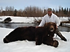 brown-bear-hunts.jpg