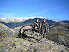 hunting-gredos-ibex.jpeg