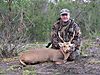 hunting-hog-deer-stag.jpg