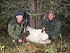 hunting-mountain-goat-canada.jpg