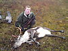 hunting-reindeer.jpeg