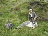 hunting-scottish-goat.jpeg