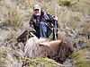 hunting-tahr.jpeg