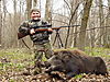 hunting_pigs.jpeg