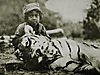 tiger-champawat-man-eater.jpg