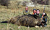 wild-boar-hunt.jpg