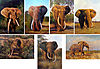 The-Magnificent-7-Elephant.jpg