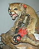 bad-taxidermy-12.jpg