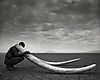 elephant-tusk2.jpg