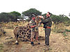 hunting-giraffe-201.JPG